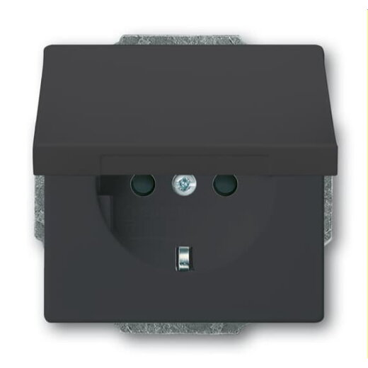 Busch-Jaeger Steckdoseneinsatz 20 EUKBR-81, anthrazit