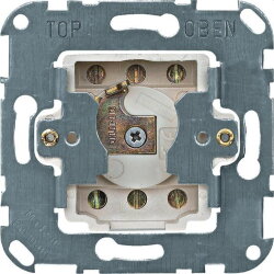 Merten Einsatz 318501 fuer Schliesszylinder 2polig