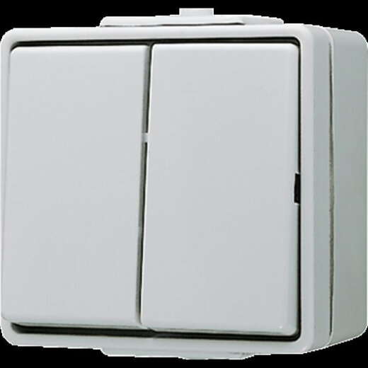 Jung Wippschalter-Einsatz, Serien, 10 AX 250 V ~, IP 44, WG 600 605WEINS