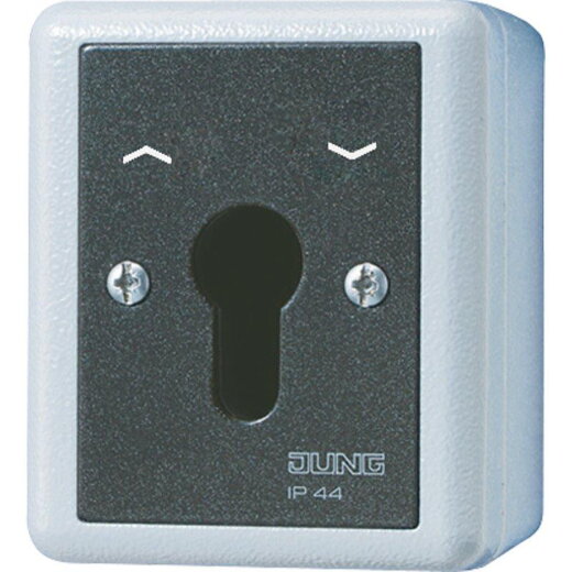Jung Schlüsselschalter Einsatz, Alu-Druckguss, Jalousie-Wendeschalter, 2-pol. (2 Antriebe), WG 800 804.28GEINS