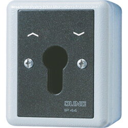 Jung Schlüsselschalter Einsatz, Alu-Druckguss,...