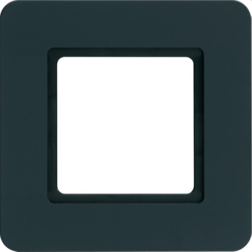 Berker Rahmen 10116106 1fach Q.7 anthrazit samt 10116106