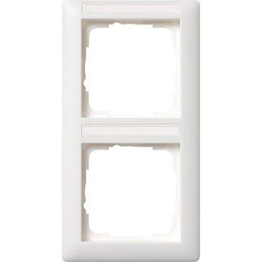 Gira Rahmen 110227 2fach BSF senk Standard 55 rwmatt