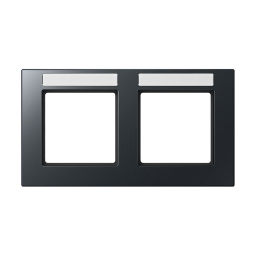 Jung Rahmen 2fach, mit Schriftfeld, waagerechte Montage, Thermoplast lackiert, A CREATION, anthrazit matt AC5820BFNAANM