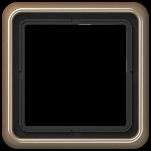 Jung Rahmen 1fach, Aluminium eloxiert, CD 500, gold-bronze CD581GB