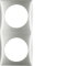 Berker Rahmen M3918262558 2fach chrom matt lackiert