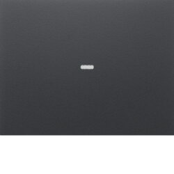 Berker Tast-Abdeckung K.x 1fach anthrazit 80960275