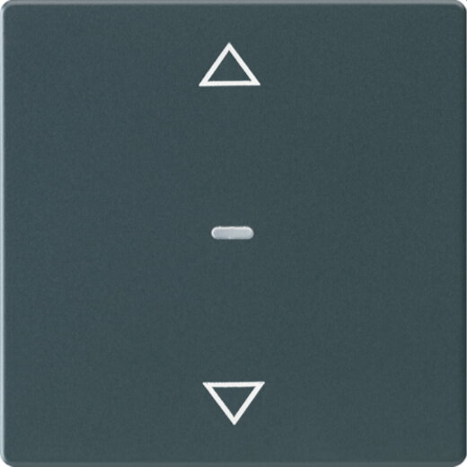 Berker Abdeckung f. Tastensen.-Modul 1fach Q.x anthrazit 80961226