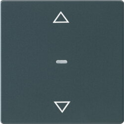 Berker Abdeckung f. Tastensen.-Modul 1fach Q.x anthrazit...