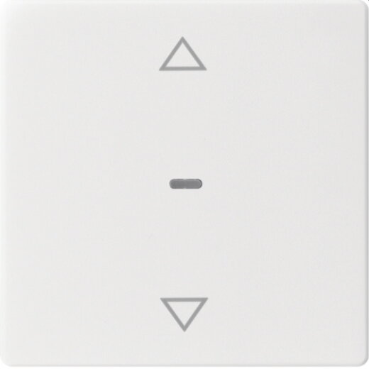 Berker Abdeckung f. Tastensen.-Modul 1fach Q.x pw gl. 80961229