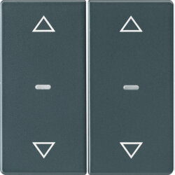 Berker Abdeckung f. Tastensen.-Modul 2fach Q.x anthrazit...