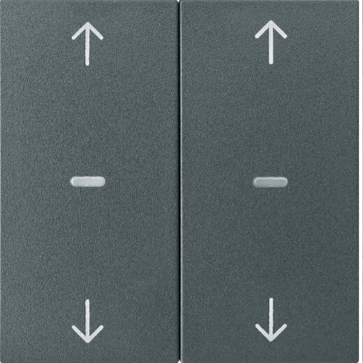 Berker Abdeckung f. Tastensen.-Modul 2fach S.1/B.x anthr. 80961385