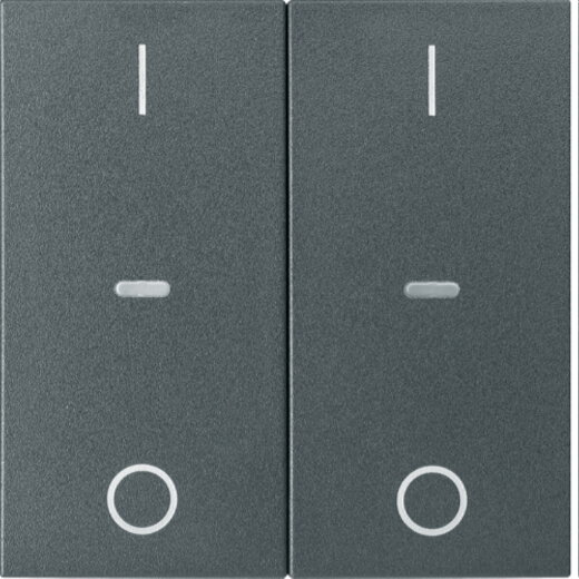 Berker Abdeckung f. Tastensen.-Modul 2fach S.1/B.x anthra 80962385