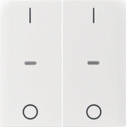 Berker Abdeckung f. Tastensen.-Modul 2fach S.1/B.x pw gl....