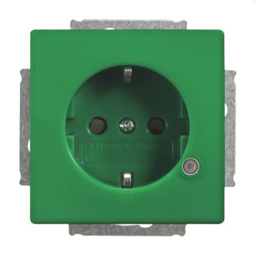 Busch-Jaeger Steckdoseneinsatz 20 EUCBL-13-84-101, grün