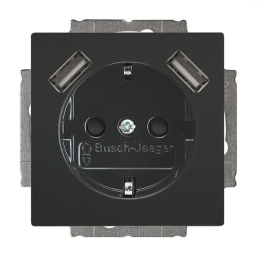 Busch-Jaeger Doppelsteckdose SCHUKO 20 EUCB2USB-81 2x USB, anthrazit