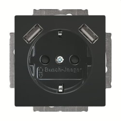 Busch-Jaeger Doppelsteckdose SCHUKO 20 EUCB2USB-81 2x...