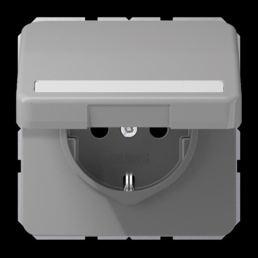 Jung SCHUKO Steckdose, 16 A 250 V ~, mit Schriftfeld, Thermoplast, Serie CD, grau CD1520BFNAKLGR