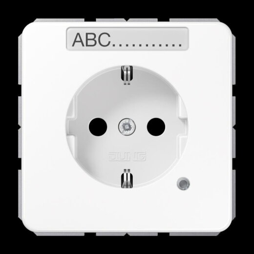 Jung SCHUKO Steckdose, 16 A 250 V ~, ohne Krallen, mit Funktionsanzeige, mit Schriftfeld, SAFETY+, Thermoplast, Ser CD1520BFNAKOWW