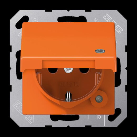 Jung SCHUKO Steckdose, 16 A 250 V ~, ohne Krallen, mit Funktionsanzeige, Thermoplast, Serie A AS1520BFKLKOO