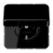 Jung SCHUKO Steckdose, 16 A 250 V ~, ohne Krallen, Thermoplast, Serie CD, schwarz CD1520BFKIKLSW