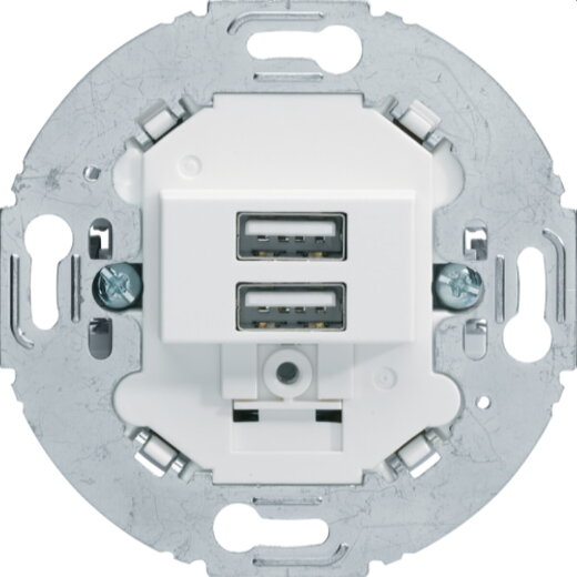 Berker USB-Ladesteckdose 230V 2fach 3.0A Tragring rund polarweiss 260219