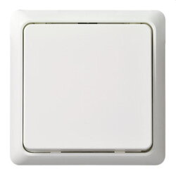 ELSO Taster 506200 42V/1A Aufputz RENOVIERUNG pw