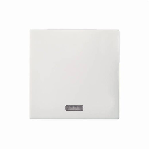 ELSO Wippe 273614 bel. Unischalter/Taster JOY rw