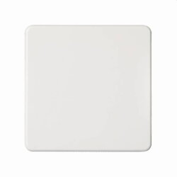 ELSO Wippe 233604 Universal-Kreuzschalter/Taster rw