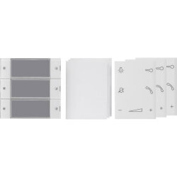 Gira Wippenset 850400 3f Wohnungsstation System 55 klar...