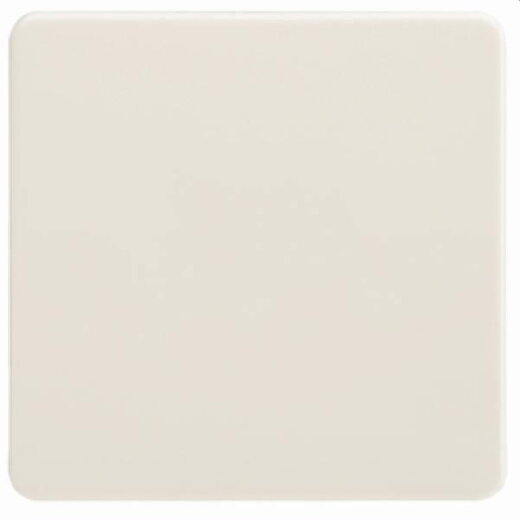 ELSO Wippe 213600 Universal-Kreuzschalter/Taster pw