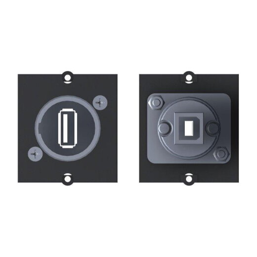 Bachmann Rahmen 917.018 1xUSB 2.0 A/B BCM-8