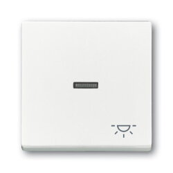 Busch-Jaeger 1789 LI-84 Wippe