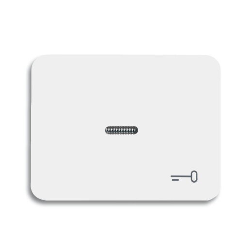 Busch-Jaeger 1789 TR-24G alpha nea Wippe