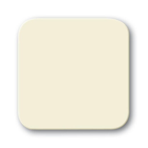 Busch-Jaeger 2506 O-212 Wippe