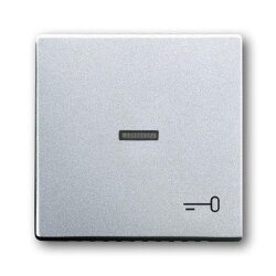 Busch-Jaeger 1789 TR-83 Wippe