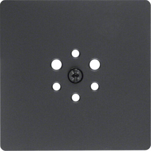 Berker Zentralplatte 14741606 anthrazit matt 14741606