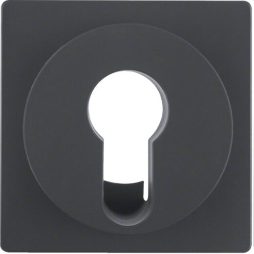 Berker Zentralstück 15076086 anthrazit samt 15076086