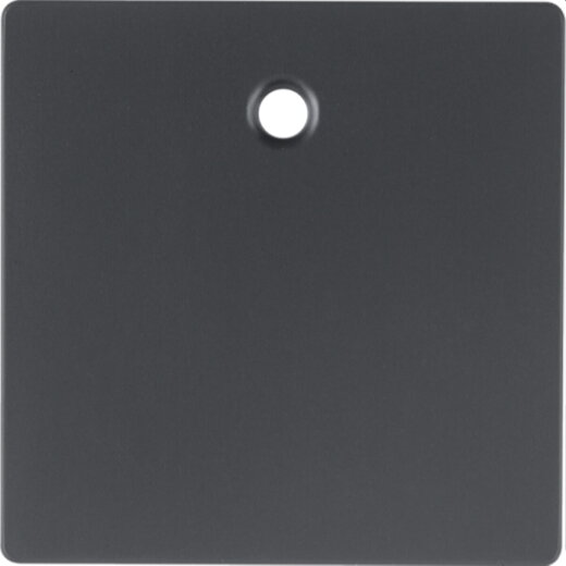 Berker Zentralstück 11466086 anthrazit samt 11466086