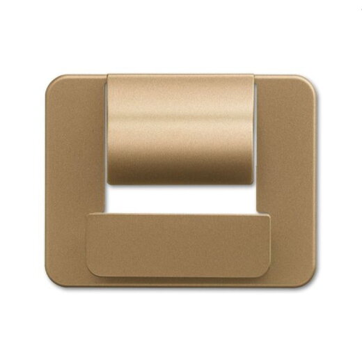 Busch-Jaeger Zentralscheibe 6477-21 für powerDock