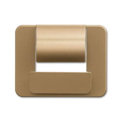 Busch-Jaeger Zentralscheibe 6477-21 für powerDock