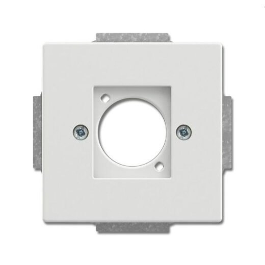 Busch-Jaeger Zentralscheibe 2553-884