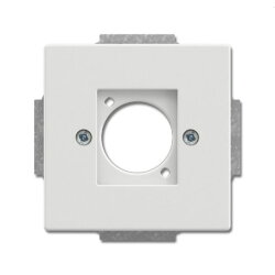 Busch-Jaeger Zentralscheibe 2553-884