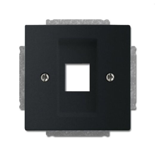 Busch-Jaeger Zentralscheibe 2561-885