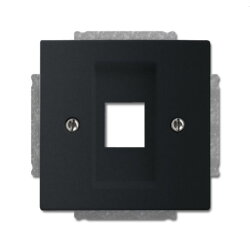 Busch-Jaeger Zentralscheibe 2561-885