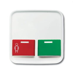 Busch-Jaeger Zentralscheibe 2548-642 B-214-101 Reflex-SI