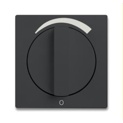 Busch-Jaeger Zentralscheibe 1740 DR/03-81 mit Drehgriff,...