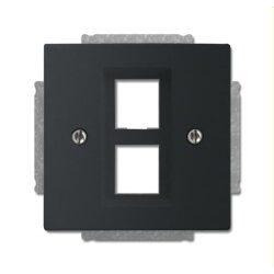 Busch-Jaeger Zentralscheibe 2561-02-885, schwarz matt