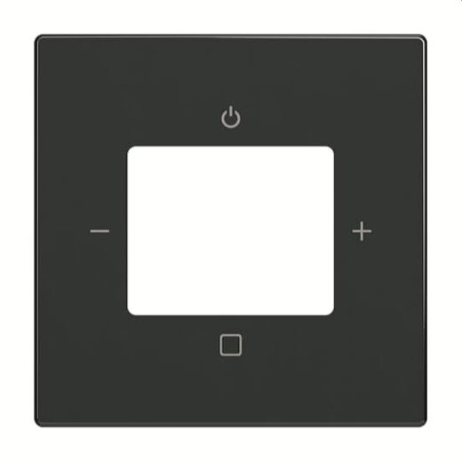 Busch-Jaeger Zentralscheibe 8252-81-101, anthrazit