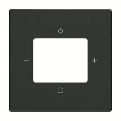 Busch-Jaeger Zentralscheibe 8252-81-101, anthrazit